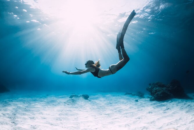 Sharm El Sheikh: White Island and Ras Mohamed Cruise Adventure - Key takeaways before you go