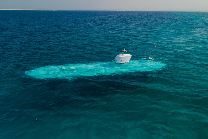 Sindbad Submarines - Hurghada (Egypt) - 2 Hours - Coral Life Can Feel Different Than Snorkeling (In a Good Way)