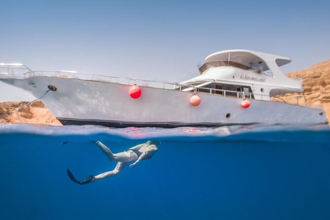Snorkeling Day Trip to White Island and Ras Mohamed from Sharm - Snorkeling gear and what you should bring