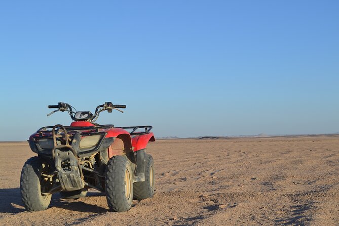 Super Safari ATV, Drive Buggy Car, Camel Ride, Bedouin Dinner, Show-Hurghada - Camel Ride Reality Check: Timing, Comfort, and Your Options