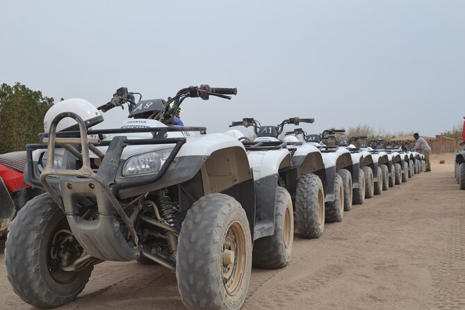Super Safari ATV, Drive Buggy Car, Camel Ride, Bedouin Dinner, Show-Hurghada - Who This Super Safari Tour Works Best For