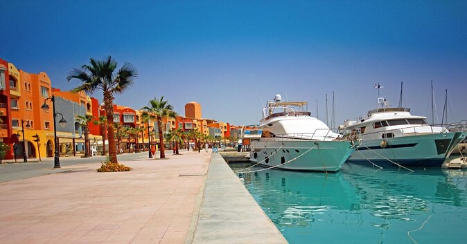 Swimming with Dolphin VIP Snorkeling Sea Trip With Lunch and Transfer - Hurghada - Key Things I’d Focus On