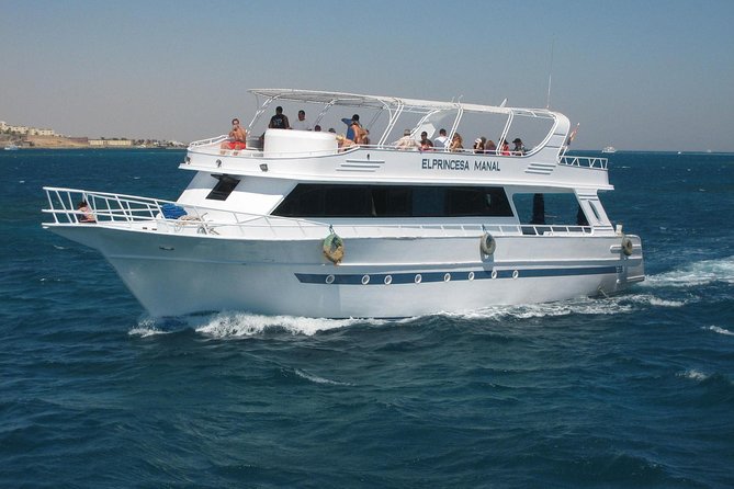 Swimming with Dolphin VIP Snorkeling Sea Trip With Lunch and Transfer - Hurghada - Dolphin Time: What Swimming With Dolphins Usually Looks Like Here