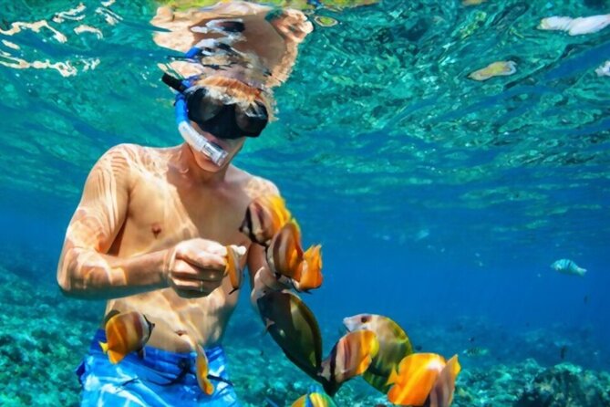 Tiran Island Snorkeling Excursion - Boat Comfort and Safety: The Crew Is Part of the Value